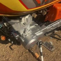 تيكر4 • موديل 24 • أوراق كاملة