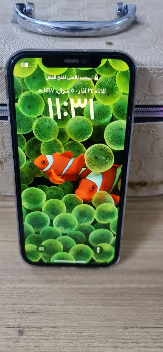 ايفون 12برو ماكس ذاكره 256 فيس ايدي شغال مبدل بطاريه وشاشه اصليه السعر 425 بي مجال قليل مكاني البصره مقبل سجن حمدان شراي يتصل فقط


**إذا كنت صاحب هذا الإعلان وتريد حذفه لأي سبب، رجاءا أرسل رسالة إلى الدعم الفني**