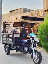 ستوته • ستوتة قلاب • ستوته 2024 • ستوته فحل • ستوته شاخوان • ستوته جدي...