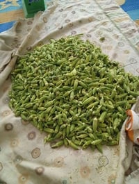 شراي • كيلو • باجر
