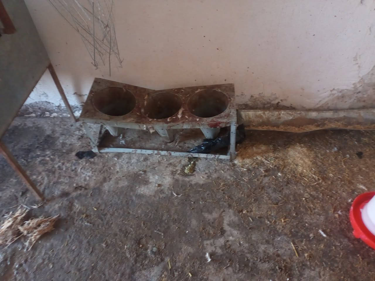 غراض دجاج هلاسه ومعلف ومذبح وميزان عادي وسنك مع قاعده


**إذا كنت صاحب هذا الإعلان وتريد حذفه لأي سبب، رجاءا أرسل رسالة إلى الدعم الفني**