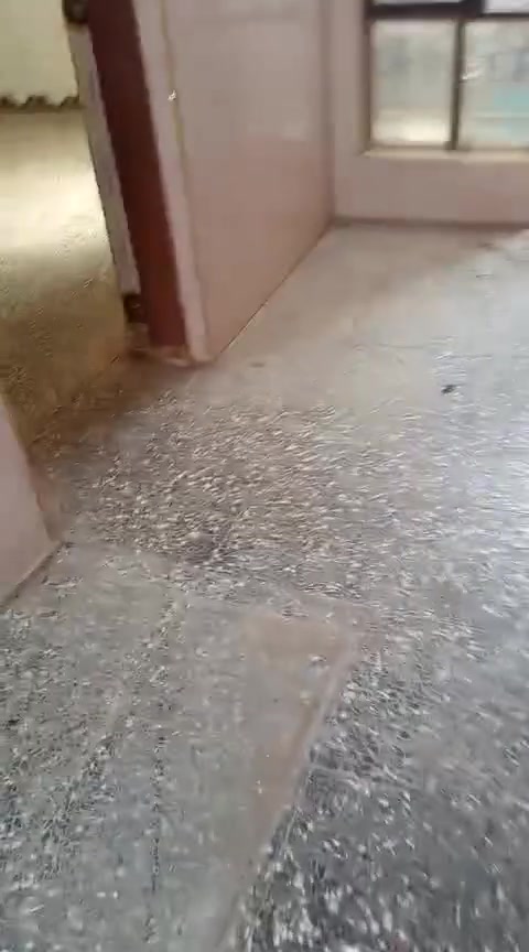 السلام عليكم
بيت للايجار الزعفرانية قرب شارع الجواهري بيت كامل كهرباء مي المساحة  100 م 
التواصل مع صاحب البيت هذا الرقم 
***********
