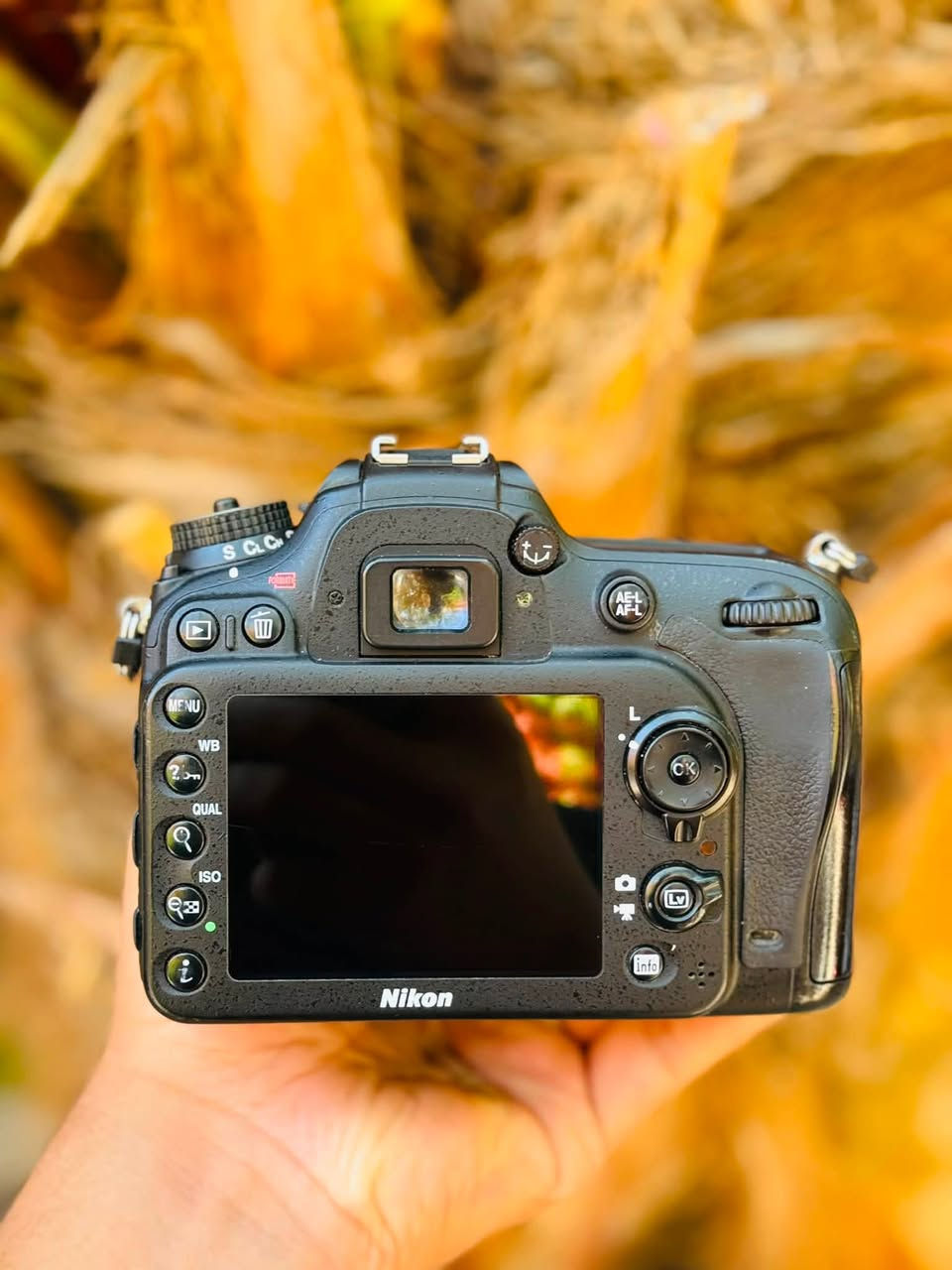 نيكون d7100
جديده كلش النضافه 100/100
(سعرها مناسب )
عدسه 18/105
كارتوني الاصليه 
شاحنه الاصليه 
بطاريا ٢ الاصليه 
رام الأصلي 
حزام الأصلي 
كافه ملحقاتها الاصليه
***********
