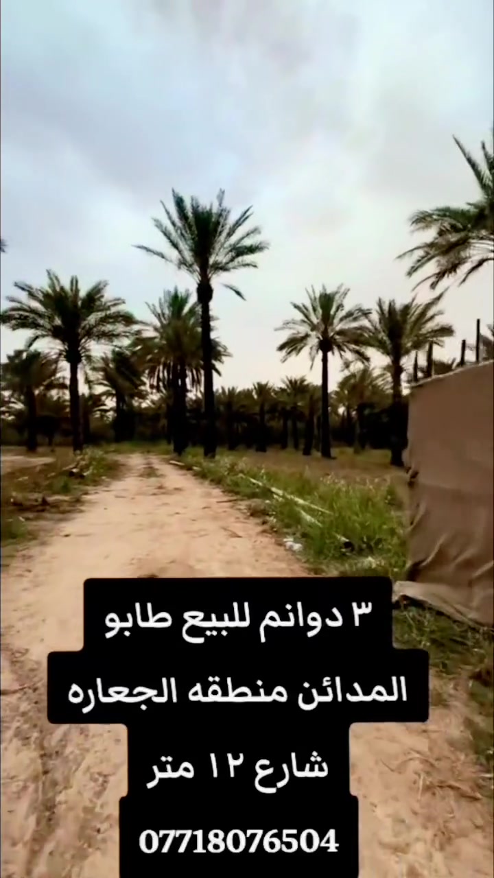 السلام عليكم 🌿
يتوفر ٣ دونم طابو سند ٢٥
التحويل مباشر
▫️ وجه كل دونم ٣٠ متر
موقع مميز المدائن منطقة الجعاره
▫️ الخدمات كاملة
للاستفسار والاتصال:
📞 ***********
#مزارع
#سلمان_باك
#المدائن
#عقار_بغداد
