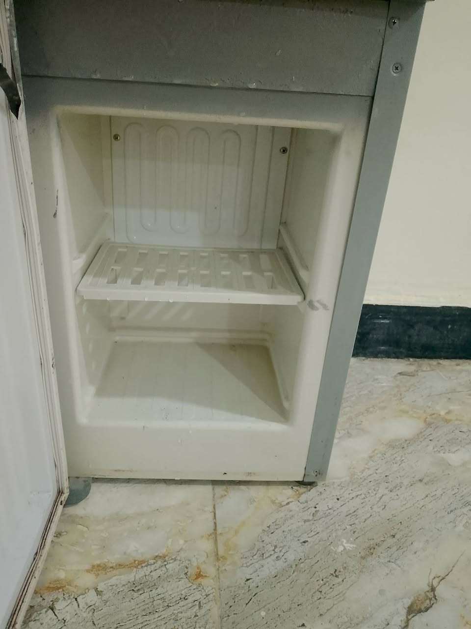 كلة شغال على فحص سعر الواحد 70


**إذا كنت صاحب هذا الإعلان وتريد حذفه لأي سبب، رجاءا أرسل رسالة إلى الدعم الفني**