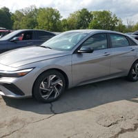 ٢٠٢٥ • ضرر خلفي • ورقة حرة