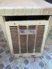 شغاله