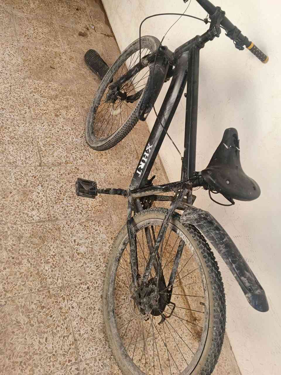 بايك جبلي حجم 26
يحتاج قعادية فقط
سعر 35 الف
مكاني فلسطين


**إذا كنت صاحب هذا الإعلان وتريد حذفه لأي سبب، رجاءا أرسل رسالة إلى الدعم الفني**