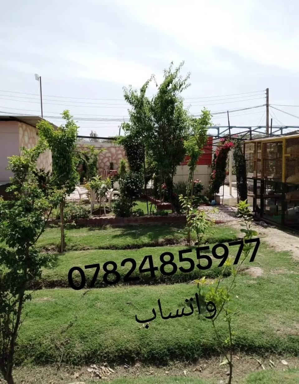 للايجار كلشي متوفر صلاح الدين قظاء بلد


**إذا كنت صاحب هذا الإعلان وتريد حذفه لأي سبب، رجاءا أرسل رسالة إلى الدعم الفني**