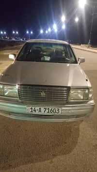 راس الثور • مصبوغه عام • مكفوله من الضربه