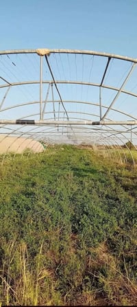 بابل جبله • ١١ بيت • اردني الريان