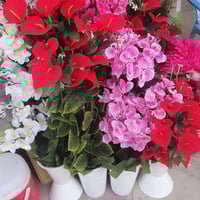 ديكور منزلي • أخرى