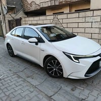 للبيع كورلاهايبرد ٢٠٢٤ كاعيات نايلون  .كفالة من الصبغ والتبديل  فتحة  ...