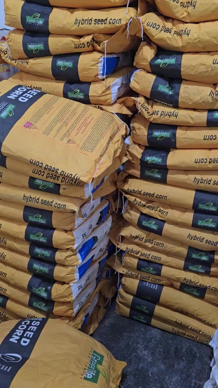 اللهم صل وسلم على نبينا محمد 
تم وصول الذره الصيفيه المغلف بي ال ٧٠٠ 
تجهيز جمله مفرد وبسعار مناسبه جدا سارعو الحجز 
للتواصل على الأرقام التاليه 
***********
***********
مكتب ريكان ال حسون في راوه
