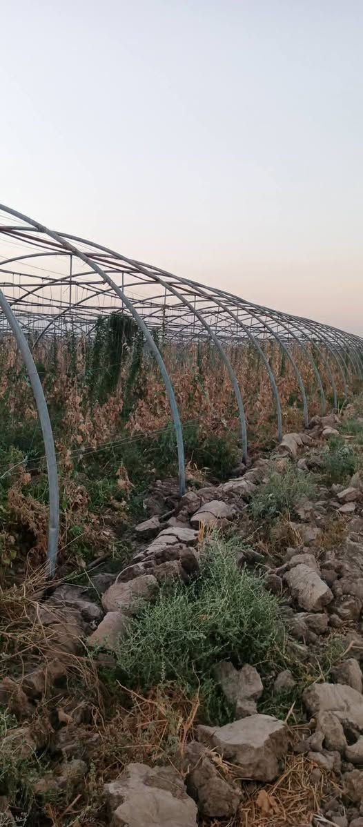 بيوت بلاستيكيه للبيع العدد 3كاملا  بوب ولايلون مال بيتين نوعيه عبار أردني للتصال  ***********
