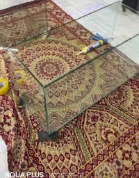 حوض سمك • تفصيل • ناصرية مركز