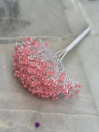 شهداء السيديه بغداد • ديكور • توصيل