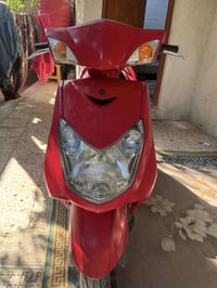 البصرة • ياباني • دبلات تعبانة