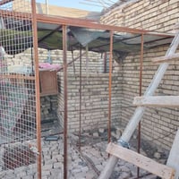 قفص • ٣م×٢٫٥م