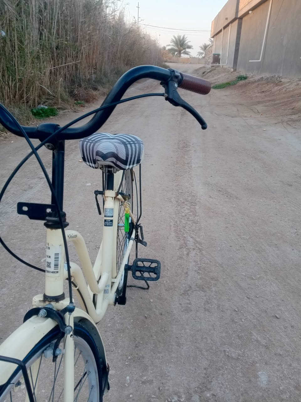 سلام عليكم ورحمه الله وبركاته اخواني باسكل للبيع نضيف موديل 14 حاويه السعر 100 وبي  مجال للبيع نضيف *********** المكان بابل حله
