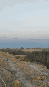 5 دوانم ونص للبيع 
طابو زراعي سند 25 
بعقوبة حولي المحسن 
تحويل مباشر 
للاستفسار ***********
