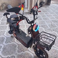 تكريت الزهور • ٤ بطاريات • يمشي ٦٠
