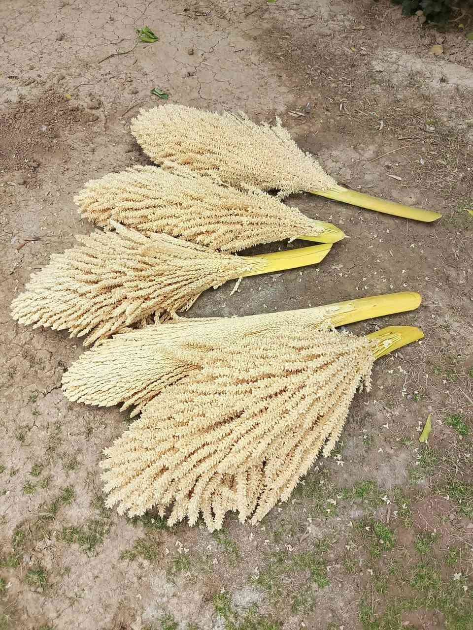 سلام عليكم مكلف بنشر كوش درجة اولى غنام الشراي يتصل عل رقم مكانه قريب على مدخل مات الوجيهية شراي يتصل عل رقم ***********
