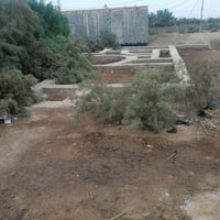 أرض زراعي • ٣٧٠م • الشوفة مقابل الملعب