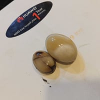 حجرتان نوع سليماني للبيع سعر 25 رقم 07717458879