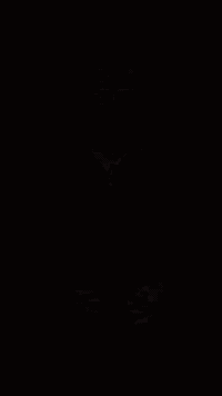 ابن الهيثم • جلولاء • فحص بصر