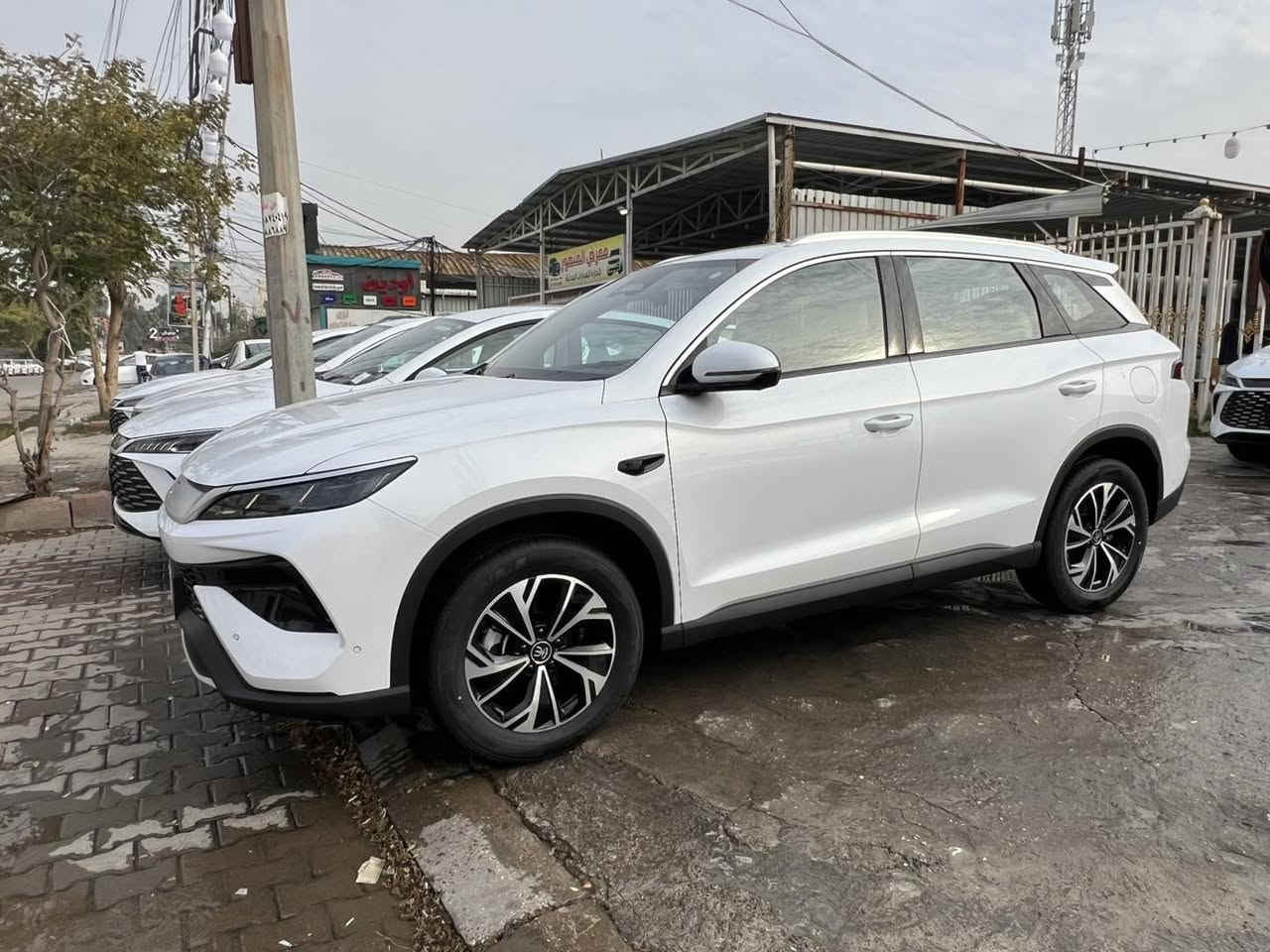 سونك برو 2025 
13 كامرة 
داخل جلد زيتوني 
كرسي كهرباء 
معرض القمة 
بغداد الكريعات 
استفسار اكثر اتصل 
***********
