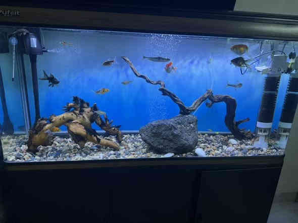 للبيع حوض سمج نضام سامب ١٢٠ سنتم مكاني كركوك ***********
