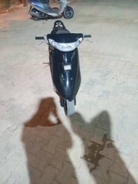 عصفوري • شغالة • سلف عطلان