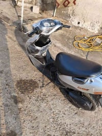 ساسوكي • سلف كهربائيات • ميسان المجر الكبير