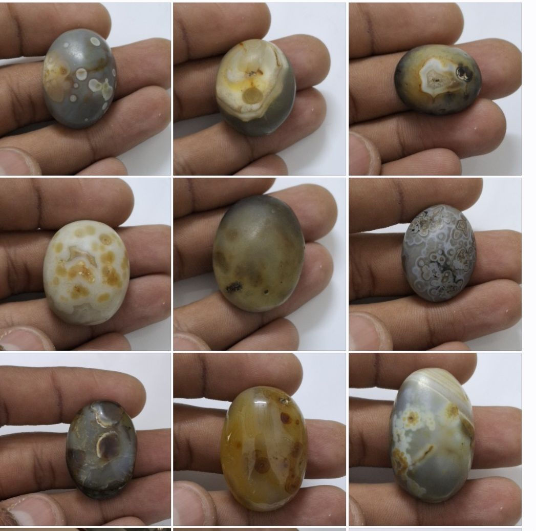 البيع راسني وتدلل***********
