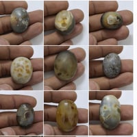 البيع راسني وتدلل07760159954