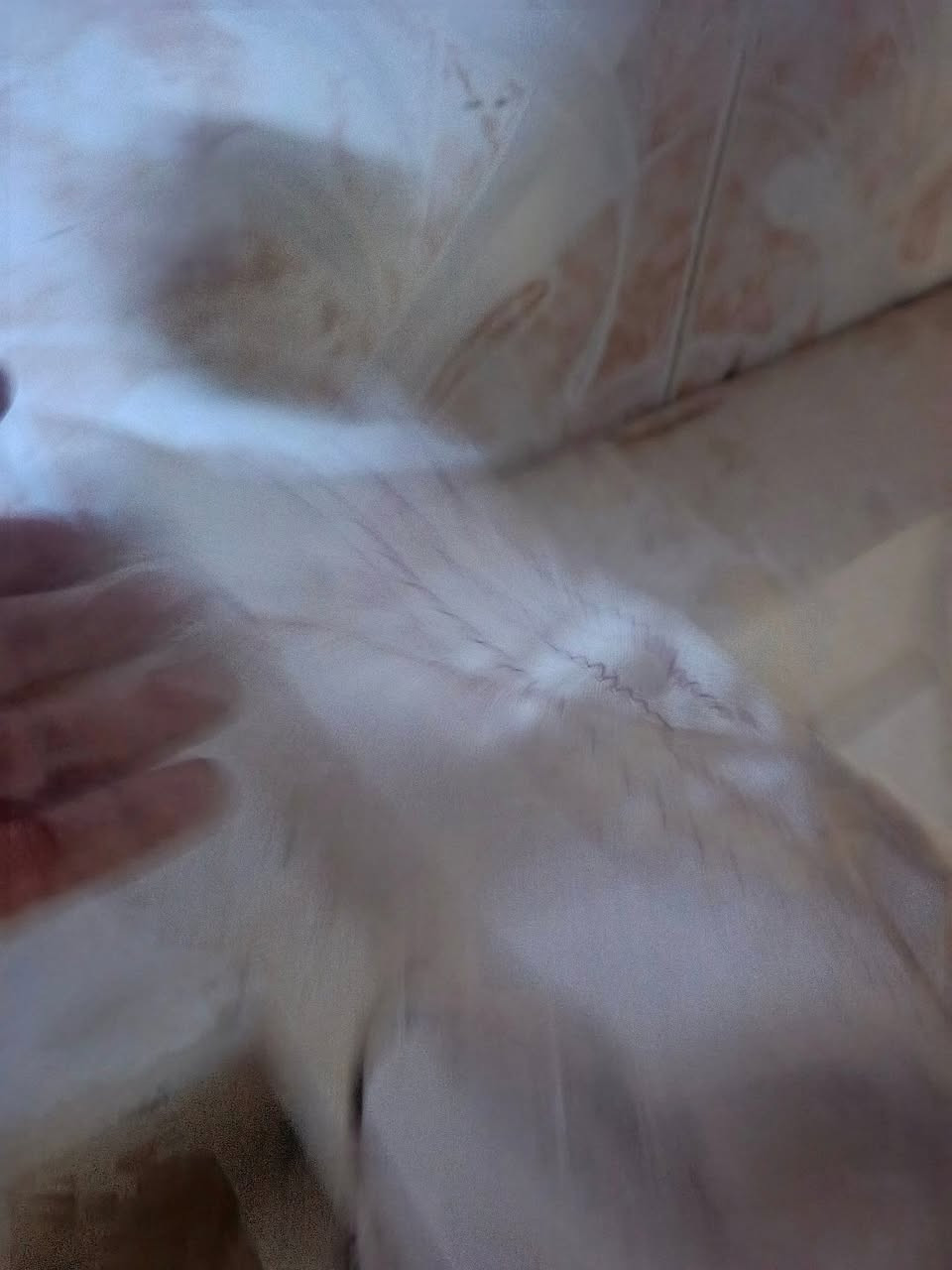 مكينه خياطه يابانية كامله اقراص نقشات وخياطته حلوه للبيع ٨٥


**إذا كنت صاحب هذا الإعلان وتريد حذفه لأي سبب، رجاءا أرسل رسالة إلى الدعم الفني**