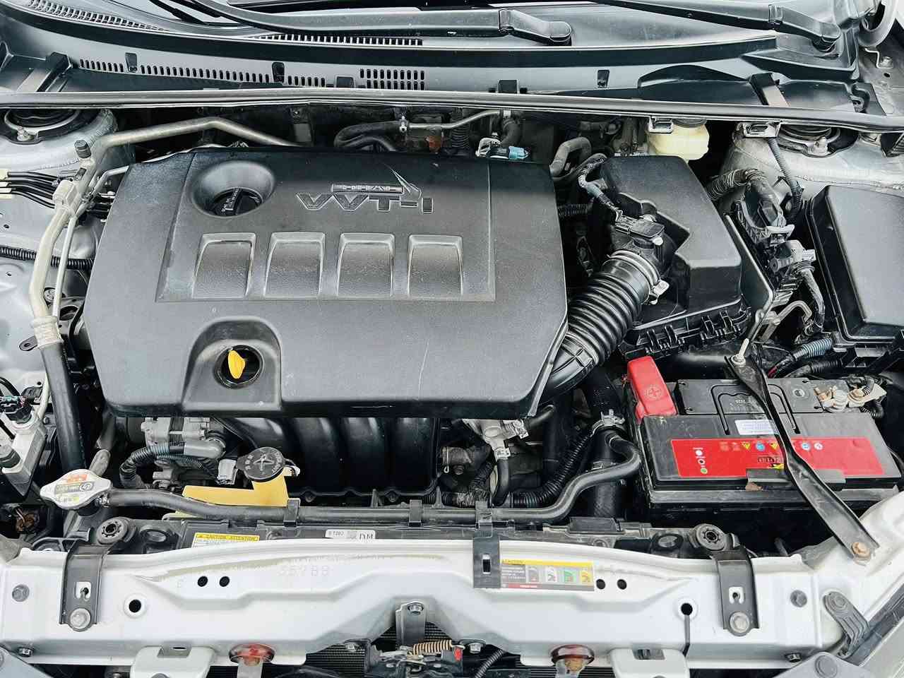 السلام عليكم 
كورله 2016امريكي فاتLE حادثهةدعاميه خلفيه بدون دواخل وبيه اهلال لورة صبق فقط  رقم بصرة مشروع وطني سنويه ل29تحويل ثاني يوم  مكينه1800مكينه وكير وحدادة وتبريد كفاله (سياره مالت بيت ما متعوبه)
مكان لسيارة بصرة خور الزبير *********** اتصل وتدلل
