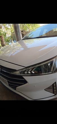 الانتره • ٢٠١٩ • كربلاء طويريج