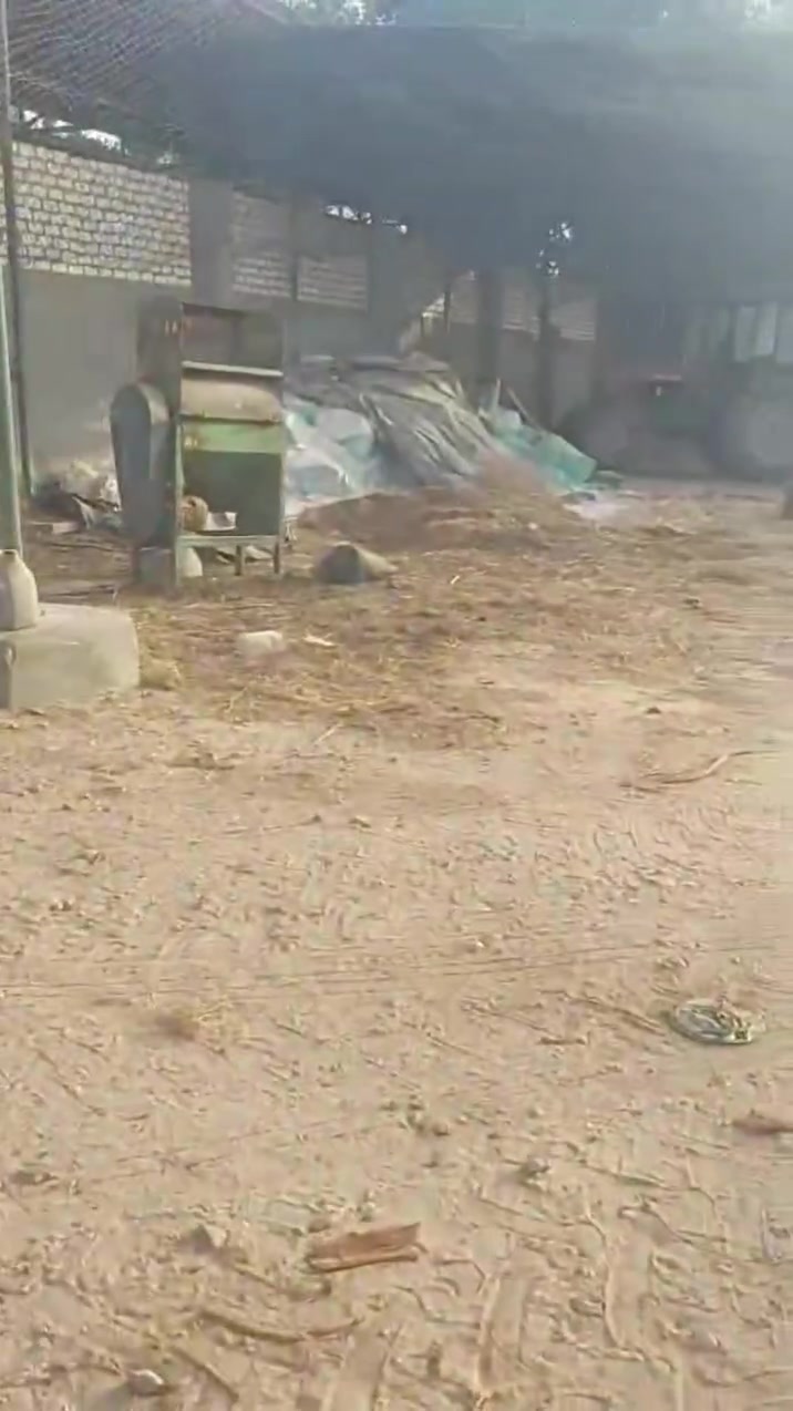 للبيع 20  فدان 
الخطاطبه 
مدق فرح 
٤ ك من الأسفلت 
انتاج حيواني ٥ فدان 
مسوره بالكامل 
فيلا 
للتواصل هاتفيا أو واتساب للجادين 
01020930219


**إذا كنت صاحب هذا الإعلان وتريد حذفه لأي سبب، رجاءا أرسل رسالة إلى الدعم الفني**