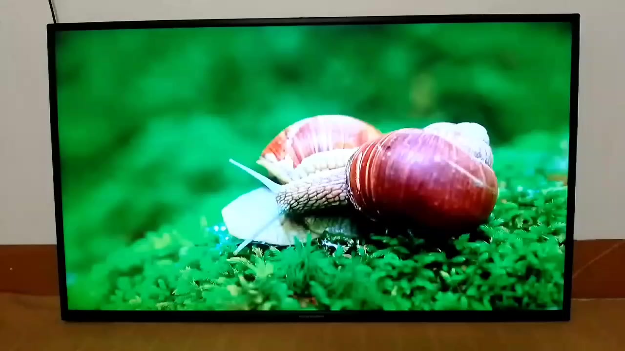 السلام عليكم / موصفات فول
شاشة رويال باب اول حجم 50 فول انترنيت تشغل 120فريم نظام TSL العنوان موصل الأيسر حي سومر الاستفسار ‏‪***********‬‏
