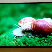 شاشة 50بوصة • فول انترنيت • باب أول