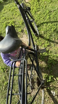 بناتي ياباني • حجم ٢٧ • داينمو