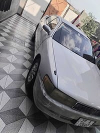 سيراتو • البصرة أبي الخصيب • ذي قار