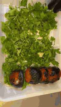 مشاوي درجه اولى طلب والاستفسار 
***********
