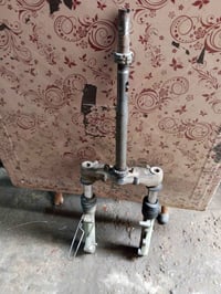 سكنس نثية • غراض • تفصيخ