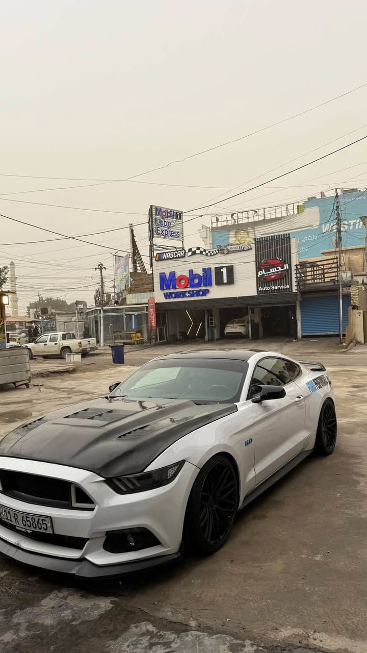 موستنك GT2016 Performance كير عادي
1 ماشيه 76 میل

2 عليها داون بايب + اكس بايب

3 اكزوز ودبات بورلا

4 عليها بنید کاربون فايبر

5_ داخل ألياف الكربون + تغطية كاملة للكربون

6 عليها ولف حماوه انسى شي اسمه تصعد حماوه

7_ برمجة طلال

8 بك لايتات سموك + مازدات امامیه عمل وكلها متغير

9 قبضة كير

فيتبم جديد

بلكات جديده

صدر خلفي جديد

مكينه كفاله

سقف کنتاره

طائرات جديدة

حادث جاملغات ثنين خلفيه وجنطه بدون شواصي بدون لغود

السعر : 150 ورقه او مراوس

سنويه باسمي هزة جديده تحويل ثاني يوم

*********** -: مكاني عامريه
