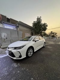 كورلا • ٢٠٢٥ • انتره فورتي