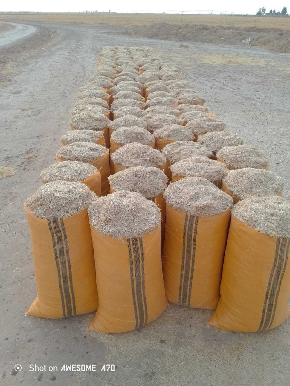 تبن سامراء درجه اوله كيس حجم 60 السعر الزوج 4 الف وبيه مجال واذا مايعجبك مرجوع عل  تفريغ للحجز تصل عل رقم *********** وتدلل لستنه الوحيدين لاكن الفضل
