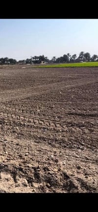 بابل ورديه • دونمين • قرب السيطره